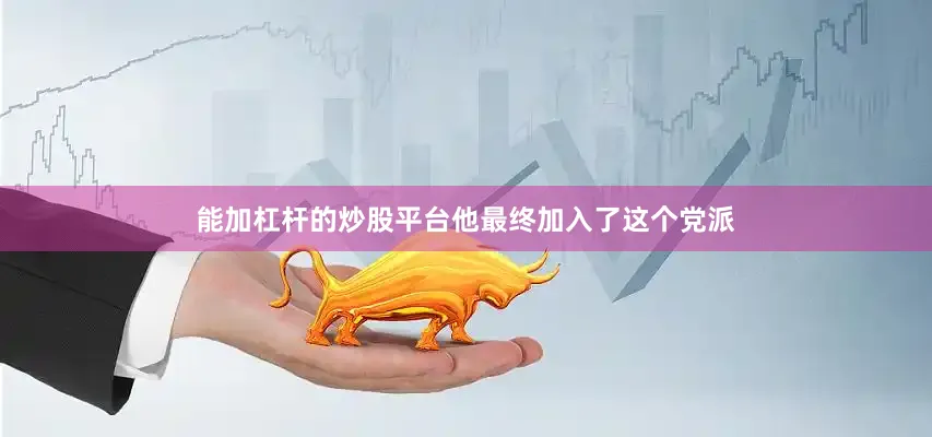 能加杠杆的炒股平台他最终加入了这个党派