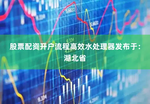 股票配资开户流程高效水处理器发布于：湖北省