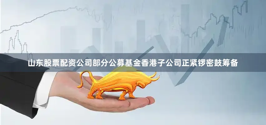山东股票配资公司部分公募基金香港子公司正紧锣密鼓筹备