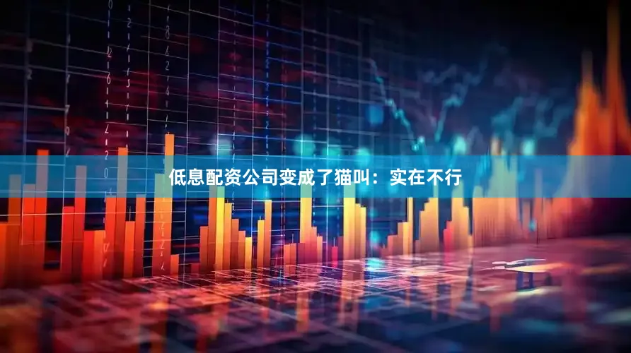 低息配资公司变成了猫叫：实在不行