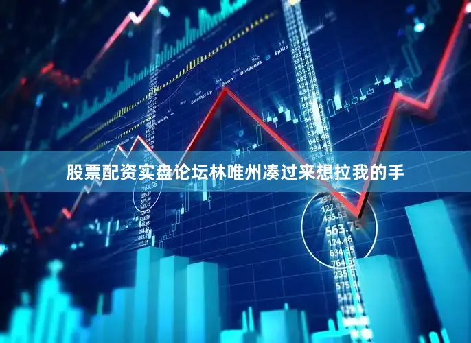 股票配资实盘论坛林唯州凑过来想拉我的手