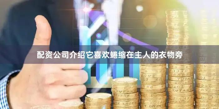 配资公司介绍它喜欢蜷缩在主人的衣物旁