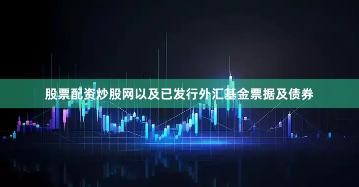 股票配资炒股网以及已发行外汇基金票据及债券