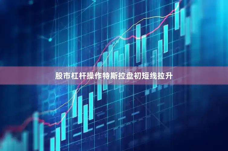 股市杠杆操作特斯拉盘初短线拉升